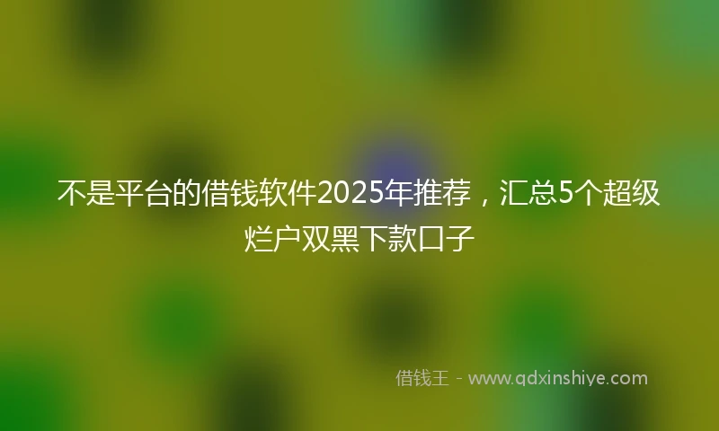不是平台的借钱软件2025年推荐,汇总5个超级烂户双黑下款口子