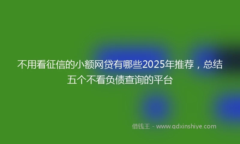 不用看征信的小额网贷有哪些2025年推荐，总结五个不看负债查询的平台