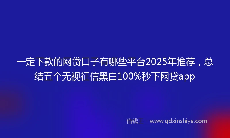 一定下款的网贷口子有哪些平台2025年推荐，总结五个无视征信黑白100%秒下网贷app