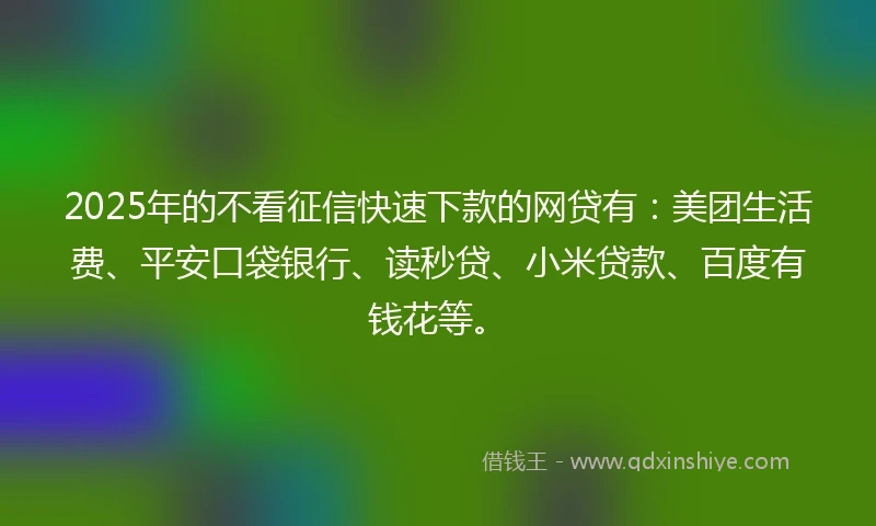 2025年的不看征信快速下款的网贷有：美团生活费、平安口袋银行、读秒贷、小米贷款、百度有钱花等。