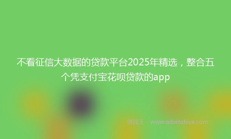 不看征信大数据的贷款平台2025年精选，整合五个凭支付宝花呗贷款的app