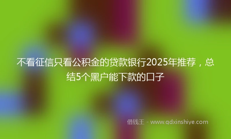 不看征信只看公积金的贷款银行2025年推荐，总结5个黑户能下款的口子