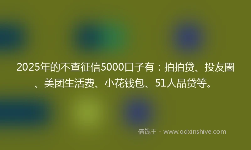 2025年的不查征信5000口子有：拍拍贷、投友圈、美团生活费、小花钱包、51人品贷等。