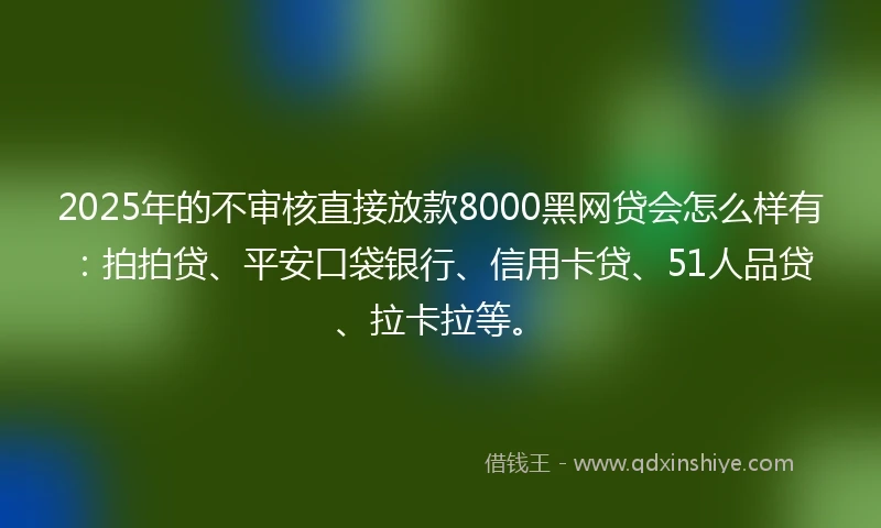 2025年的不审核直接放款8000黑网贷会怎么样有：拍拍贷、平安口袋银行、信用卡贷、51人品贷、拉卡拉等。