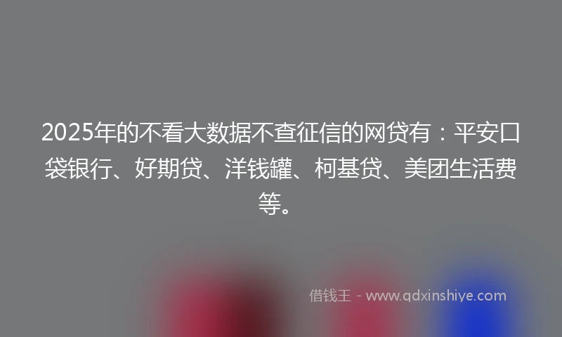 2025年的不看大数据不查征信的网贷有：平安口袋银行、好期贷、洋钱罐、柯基贷、美团生活费等。