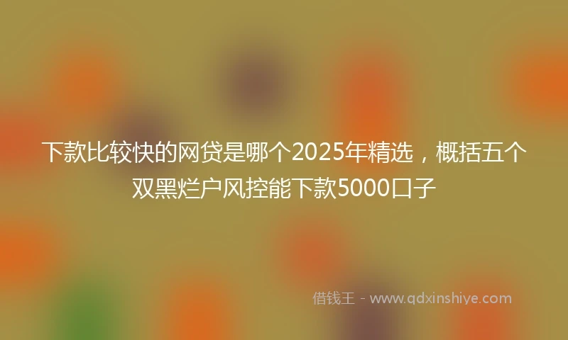 下款比较快的网贷是哪个2025年精选，概括五个双黑烂户风控能下款5000口子