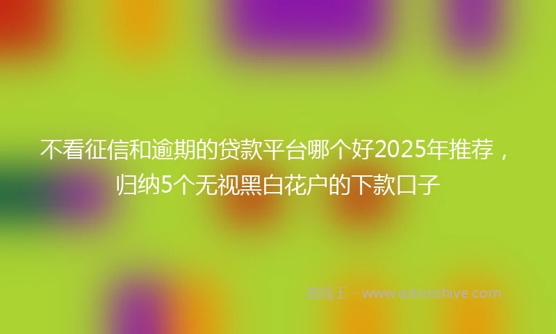 不看征信和逾期的贷款平台哪个好2025年推荐，归纳5个无视黑白花户的下款口子