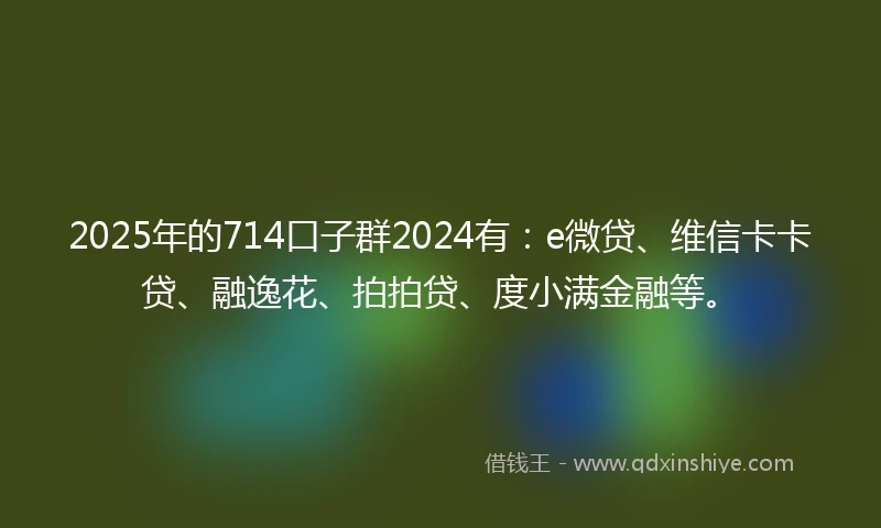 2025年的714口子群2024有：e微贷、维信卡卡贷、融逸花、拍拍贷、度小满金融等。