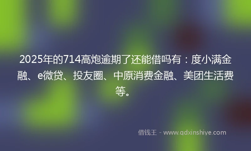 2025年的714高炮逾期了还能借吗有：度小满金融、e微贷、投友圈、中原消费金融、美团生活费等。