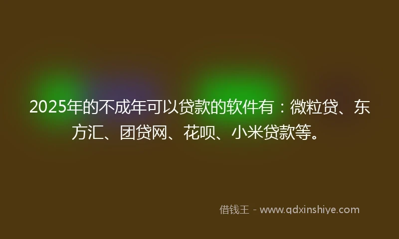 2025年的不成年可以贷款的软件有：微粒贷、东方汇、团贷网、花呗、小米贷款等。