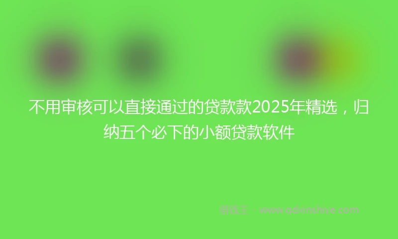 不用审核可以直接通过的贷款款2025年精选，归纳五个必下的小额贷款软件