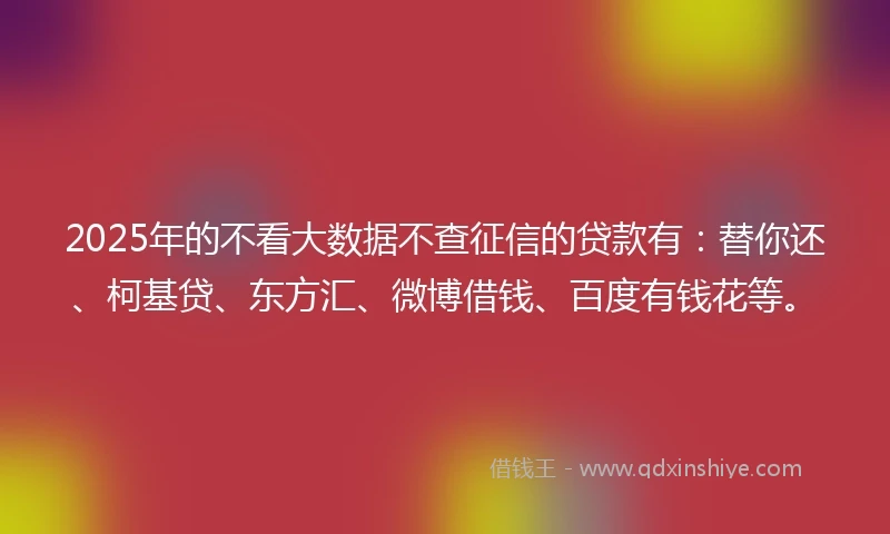 2025年的不看大数据不查征信的贷款有：替你还、柯基贷、东方汇、微博借钱、百度有钱花等。