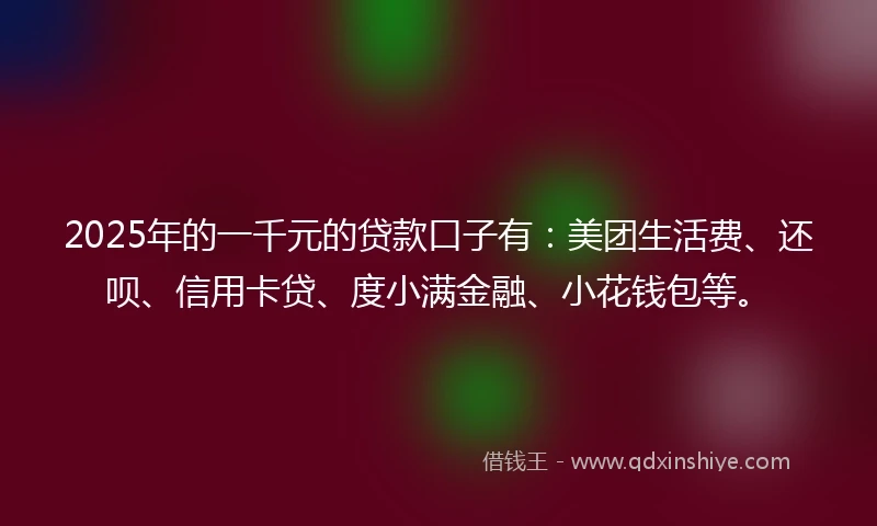 2025年的一千元的贷款口子有：美团生活费、还呗、信用卡贷、度小满金融、小花钱包等。