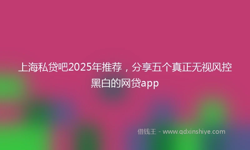 上海私贷吧2025年推荐，分享五个真正无视风控黑白的网贷app