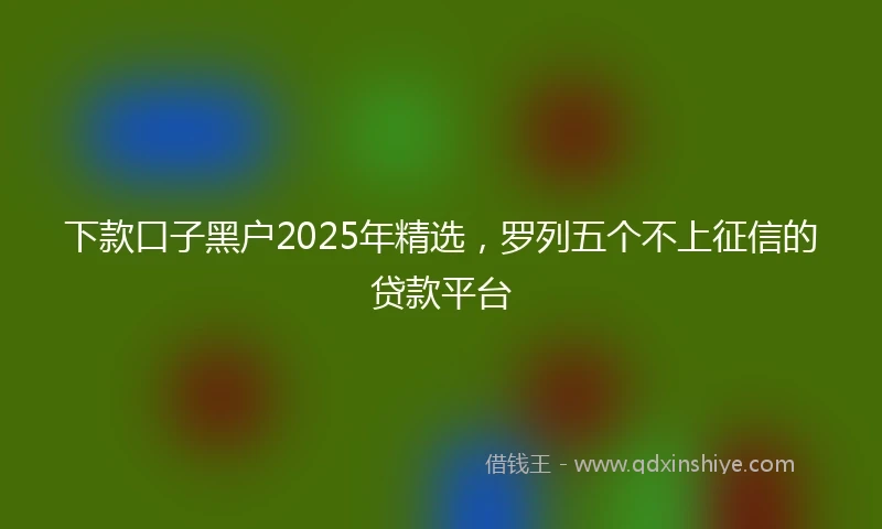 下款口子黑户2025年精选，罗列五个不上征信的贷款平台