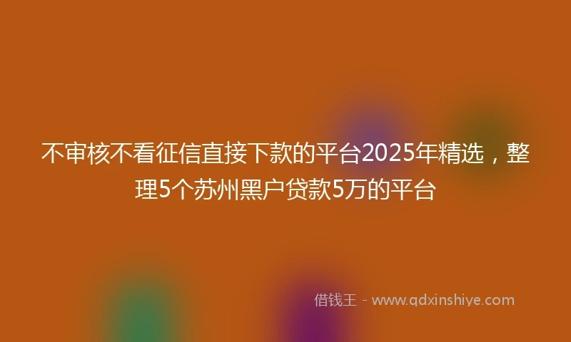 不审核不看征信直接下款的平台2025年精选，整理5个苏州黑户贷款5万的平台