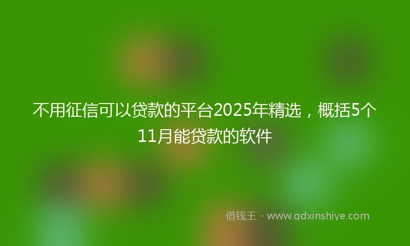 不用征信可以贷款的平台2025年精选，概括5个11月能贷款的软件