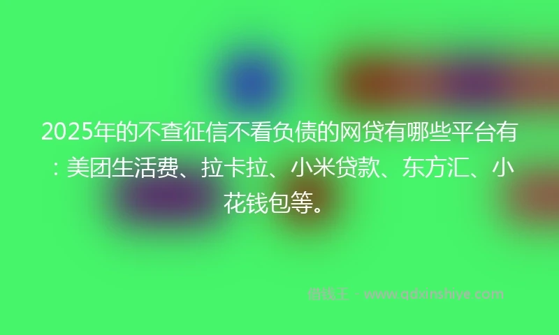 2025年的不查征信不看负债的网贷有哪些平台有：美团生活费、拉卡拉、小米贷款、东方汇、小花钱包等。