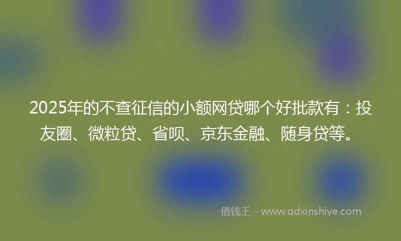 2025年的不查征信的小额网贷哪个好批款有：投友圈、微粒贷、省呗、京东金融、随身贷等。
