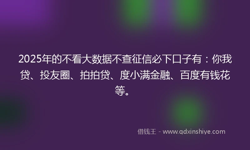 2025年的不看大数据不查征信必下口子有：你我贷、投友圈、拍拍贷、度小满金融、百度有钱花等。