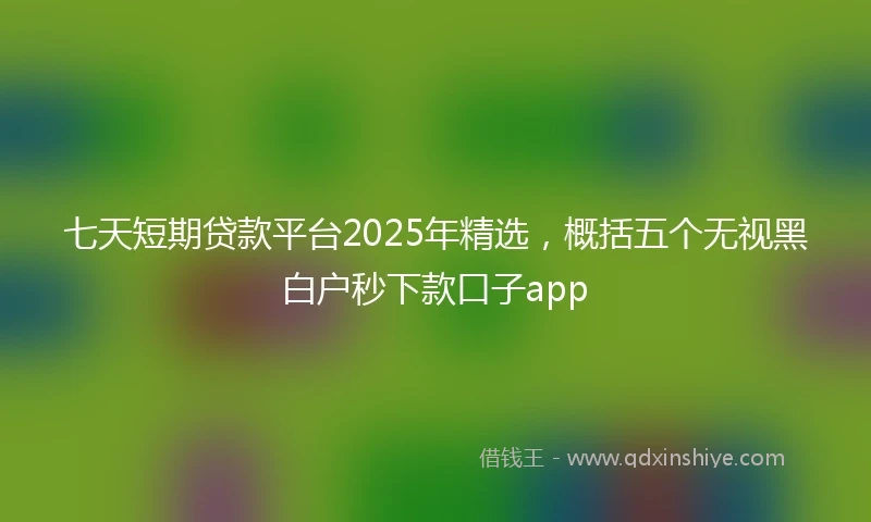 七天短期贷款平台2025年精选，概括五个无视黑白户秒下款口子app