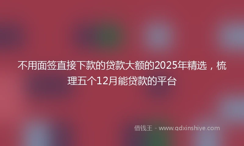 不用面签直接下款的贷款大额的2025年精选，梳理五个12月能贷款的平台