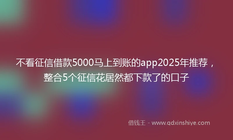 不看征信借款5000马上到账的app2025年推荐，整合5个征信花居然都下款了的口子