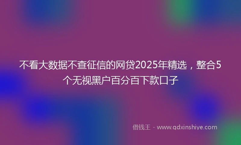 不看大数据不查征信的网贷2025年精选，整合5个无视黑户百分百下款口子