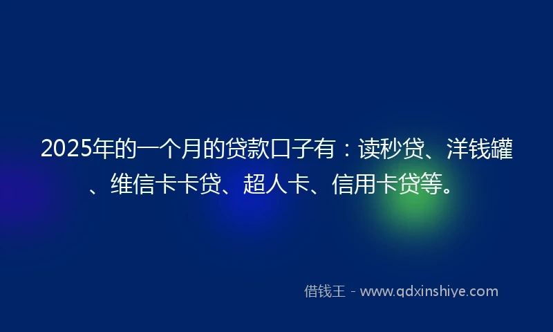2025年的一个月的贷款口子有：读秒贷、洋钱罐、维信卡卡贷、超人卡、信用卡贷等。