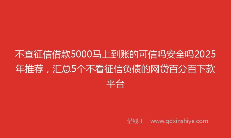 不查征信借款5000马上到账的可信吗安全吗2025年推荐，汇总5个不看征信负债的网贷百分百下款平台