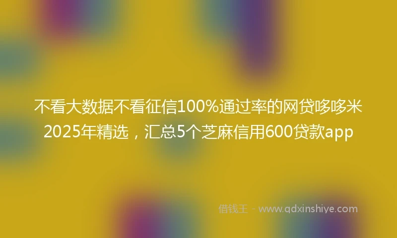 不看大数据不看征信100%通过率的网贷哆哆米2025年精选，汇总5个芝麻信用600贷款app