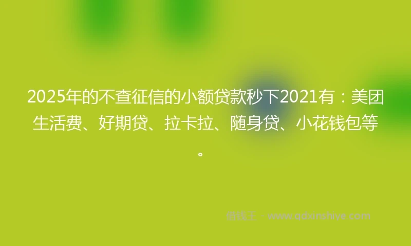 2025年的不查征信的小额贷款秒下2021有：美团生活费、好期贷、拉卡拉、随身贷、小花钱包等。