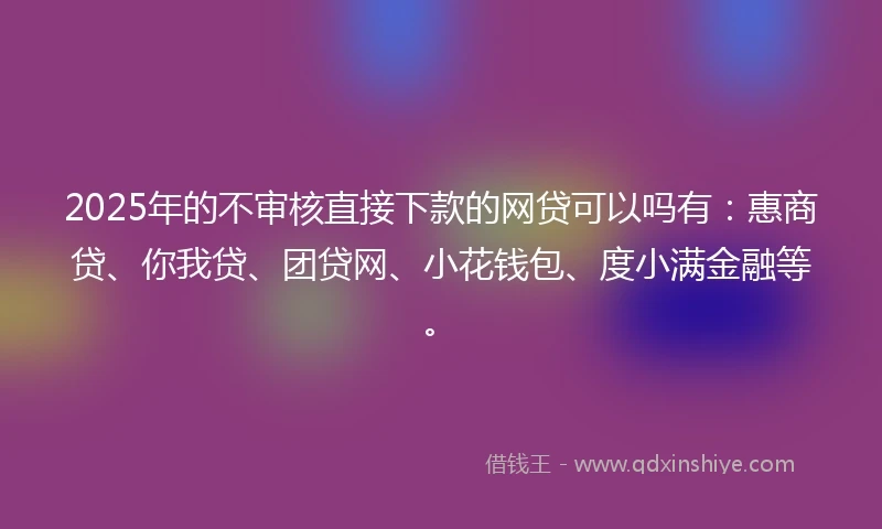 2025年的不审核直接下款的网贷可以吗有：惠商贷、你我贷、团贷网、小花钱包、度小满金融等。