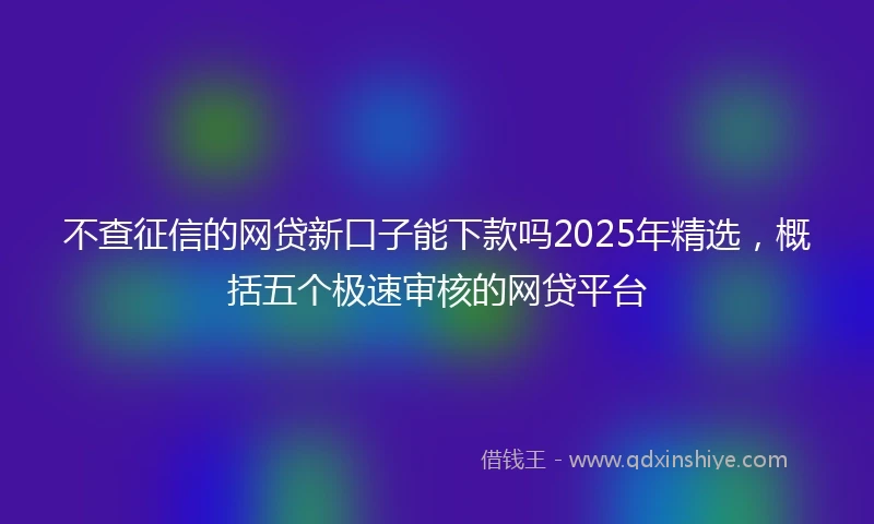 不查征信的网贷新口子能下款吗2025年精选，概括五个极速审核的网贷平台