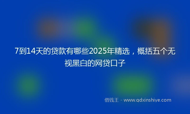 7到14天的贷款有哪些2025年精选，概括五个无视黑白的网贷口子