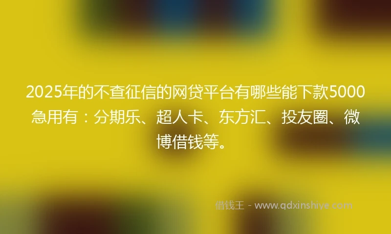 2025年的不查征信的网贷平台有哪些能下款5000急用有：分期乐、超人卡、东方汇、投友圈、微博借钱等。