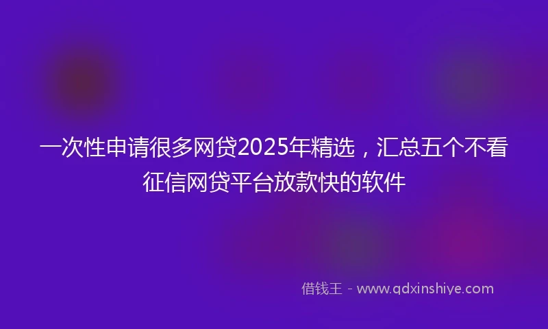 一次性申请很多网贷2025年精选，汇总五个不看征信网贷平台放款快的软件