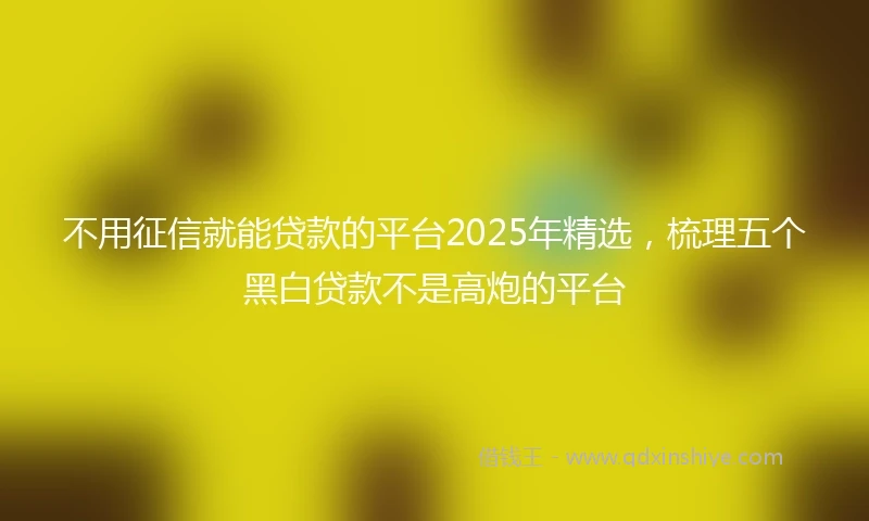 不用征信就能贷款的平台2025年精选，梳理五个黑白贷款不是高炮的平台