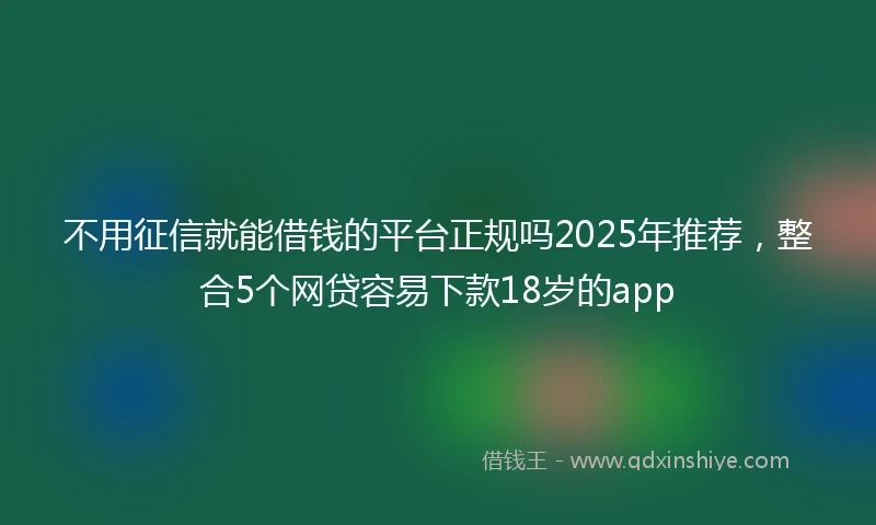 不用征信就能借钱的平台正规吗2025年推荐，整合5个网贷容易下款18岁的app