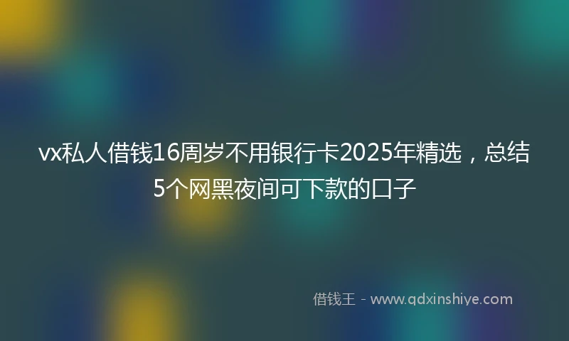 vx私人借钱16周岁不用银行卡2025年精选，总结5个网黑夜间可下款的口子