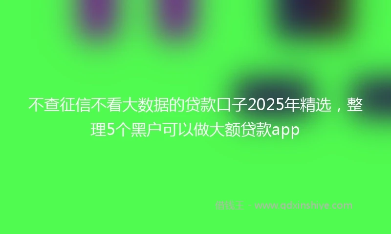 不查征信不看大数据的贷款口子2025年精选,整理5个黑户可以做大额贷款app