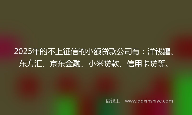 2025年的不上征信的小额贷款公司有：洋钱罐、东方汇、京东金融、小米贷款、信用卡贷等。