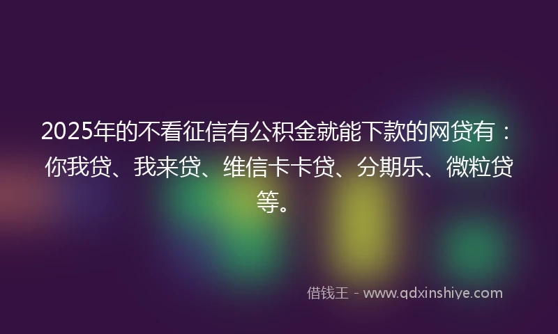 2025年的不看征信有公积金就能下款的网贷有：你我贷、我来贷、维信卡卡贷、分期乐、微粒贷等。