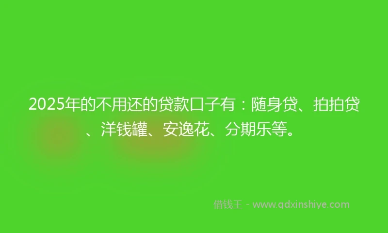 2025年的不用还的贷款口子有：随身贷、拍拍贷、洋钱罐、安逸花、分期乐等。