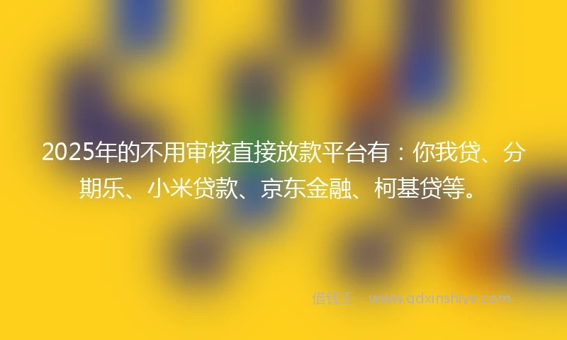 2025年的不用审核直接放款平台有：你我贷、分期乐、小米贷款、京东金融、柯基贷等。