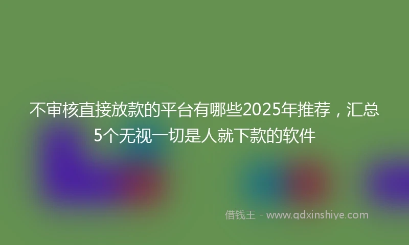 不审核直接放款的平台有哪些2025年推荐，汇总5个无视一切是人就下款的软件