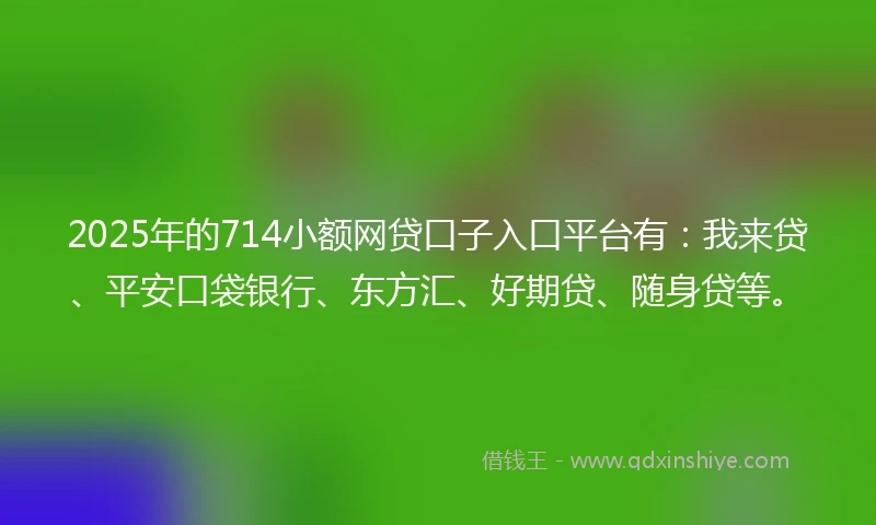 2025年的714小额网贷口子入口平台有：我来贷、平安口袋银行、东方汇、好期贷、随身贷等。