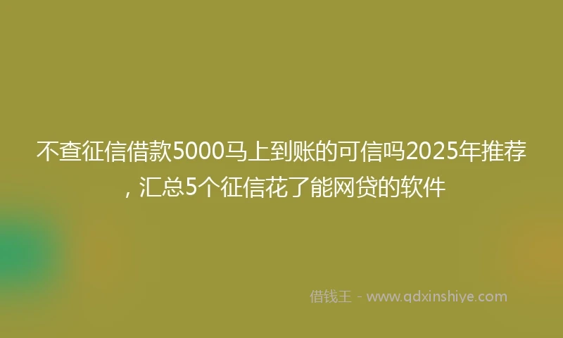 不查征信借款5000马上到账的可信吗2025年推荐，汇总5个征信花了能网贷的软件