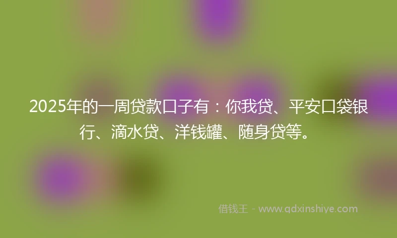 2025年的一周贷款口子有：你我贷、平安口袋银行、滴水贷、洋钱罐、随身贷等。