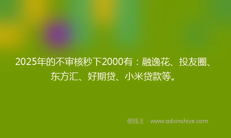 2025年的不审核秒下2000有：融逸花、投友圈、东方汇、好期贷、小米贷款等。